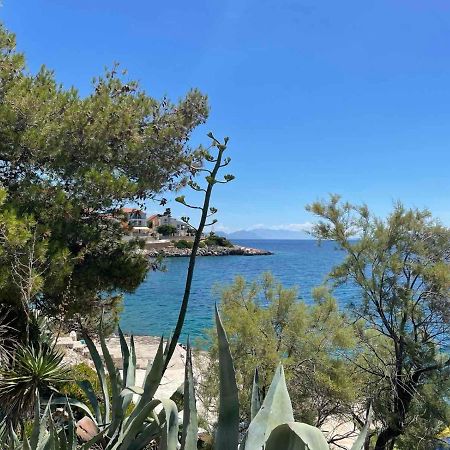 Apartments Papic Trogir Eksteriør bilde